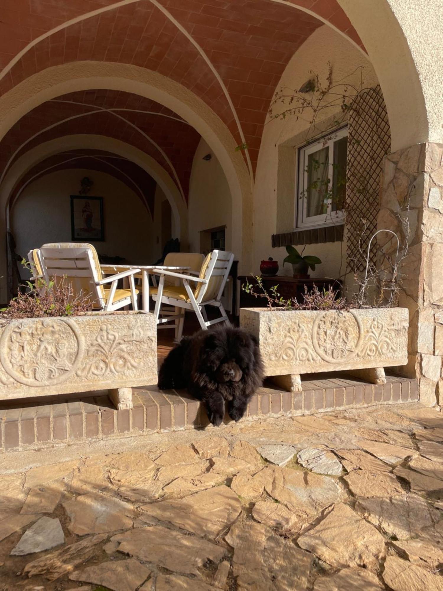 Villa Campo La Carena Garriguella Exterior foto